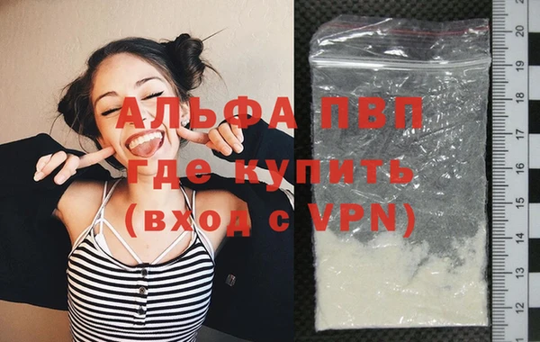 шишки Верея