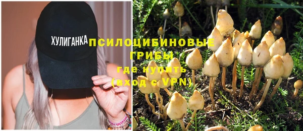 трава Верхнеуральск