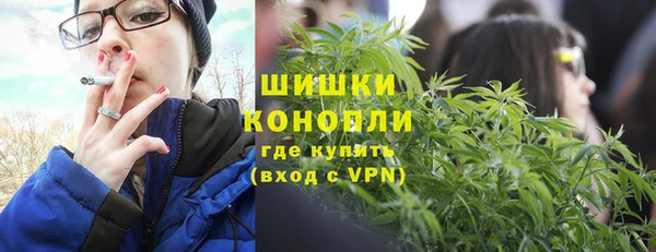 шишки Верея