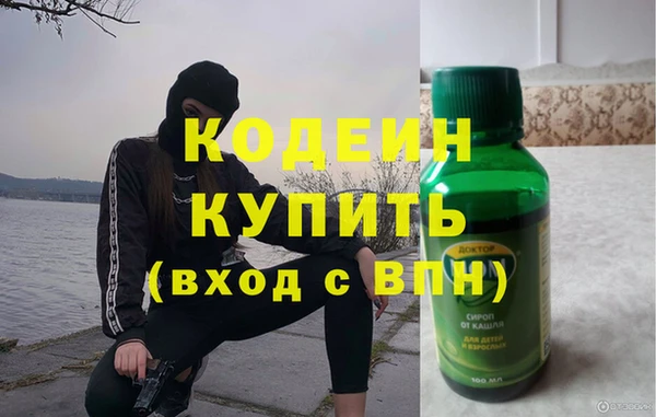 шишки Верея