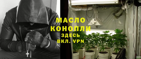 шишки Верея