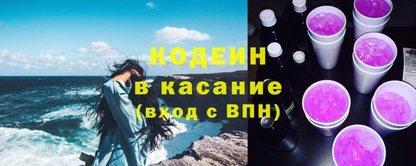 шишки Верея