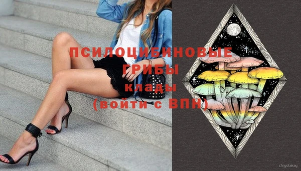 шишки Верея