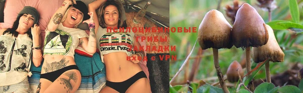 трава Верхнеуральск